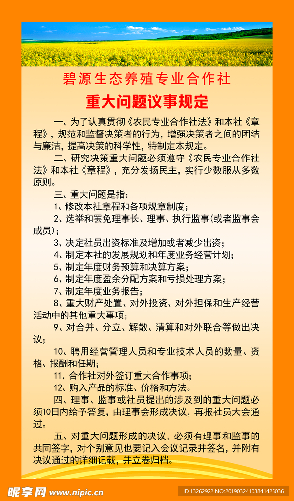 重大问题议事规定