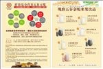 豆浆传单
