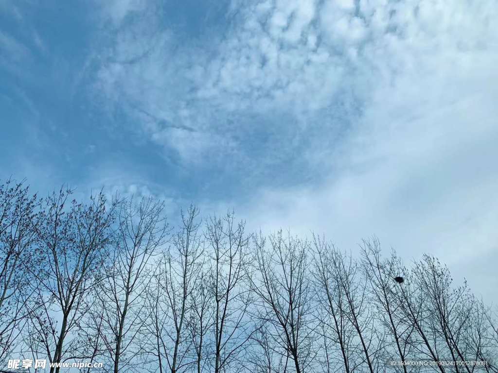 蓝天