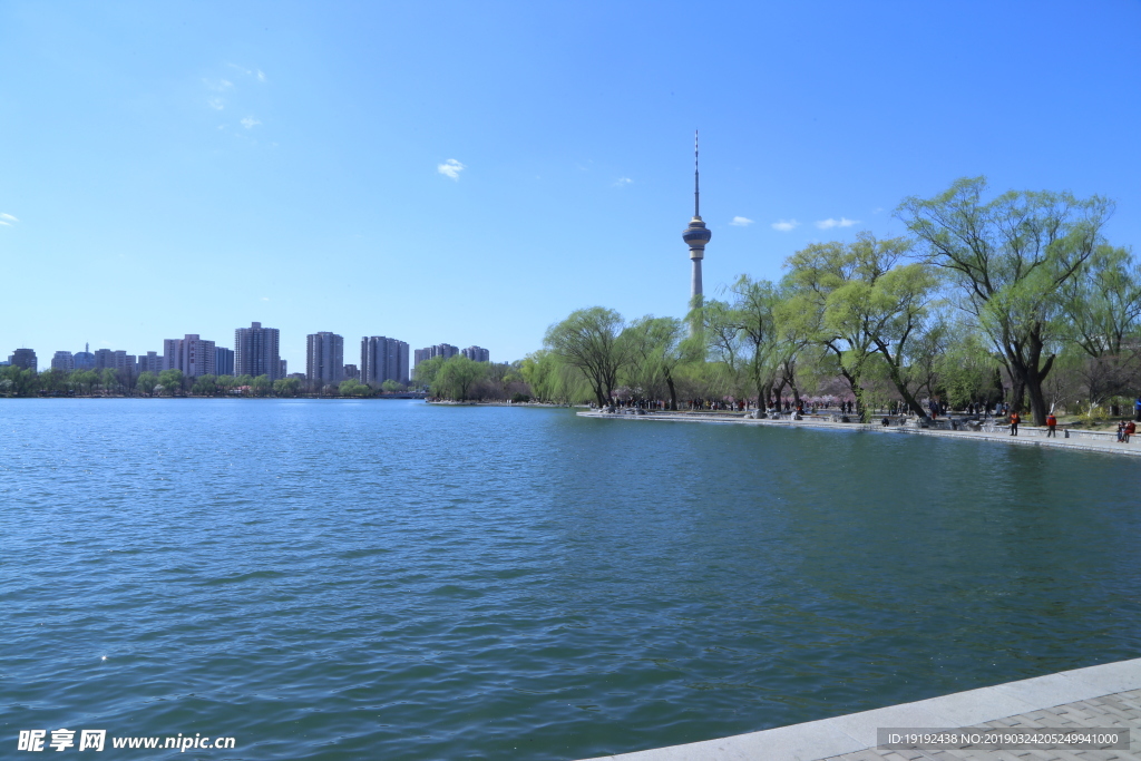 玉渊潭风景