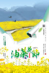 油菜花