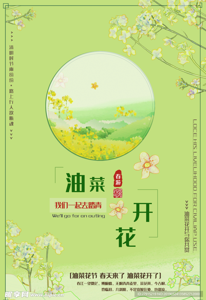 油菜花