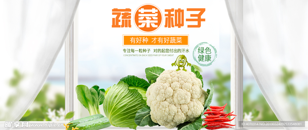 蔬菜种子banner广告设计