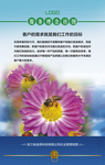 公司文化挂图