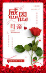 感恩母亲节