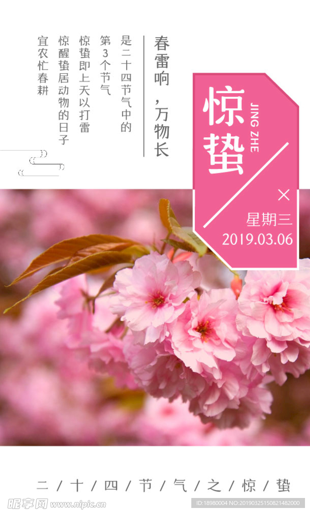 惊蛰创意海报