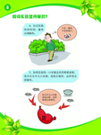 结核病宣传展板