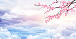 花卉背景