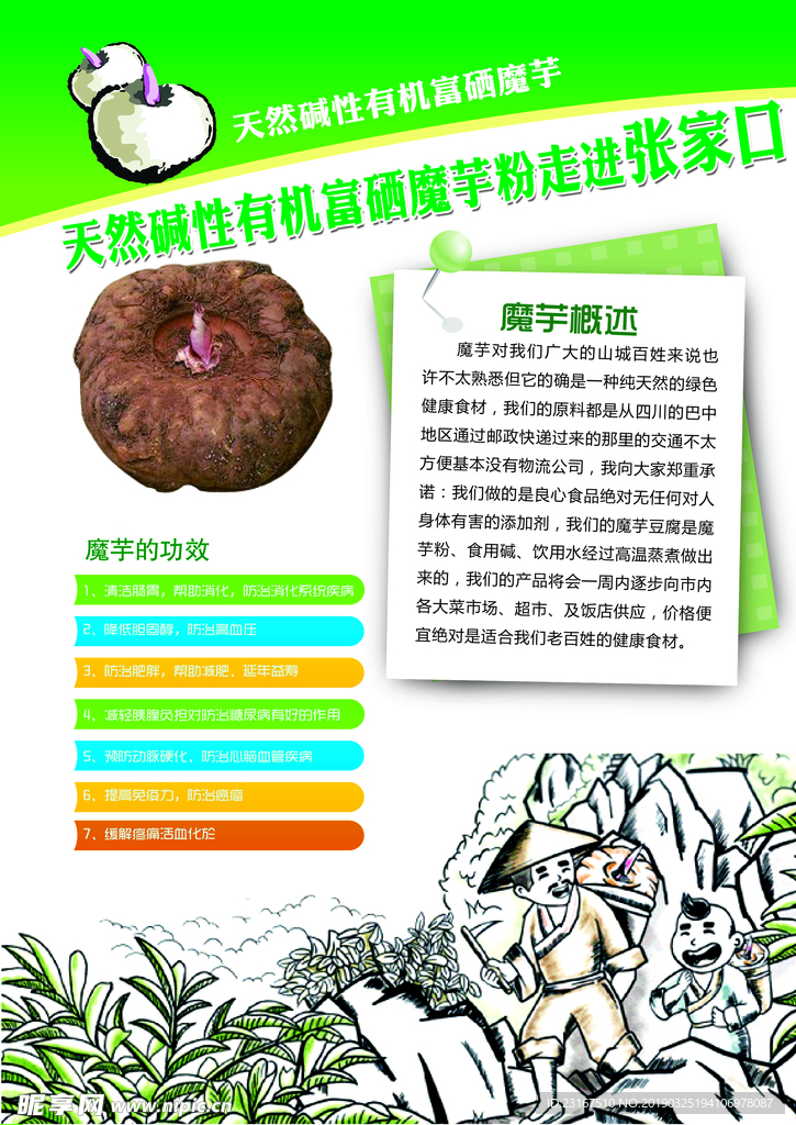 魔芋宣传单页