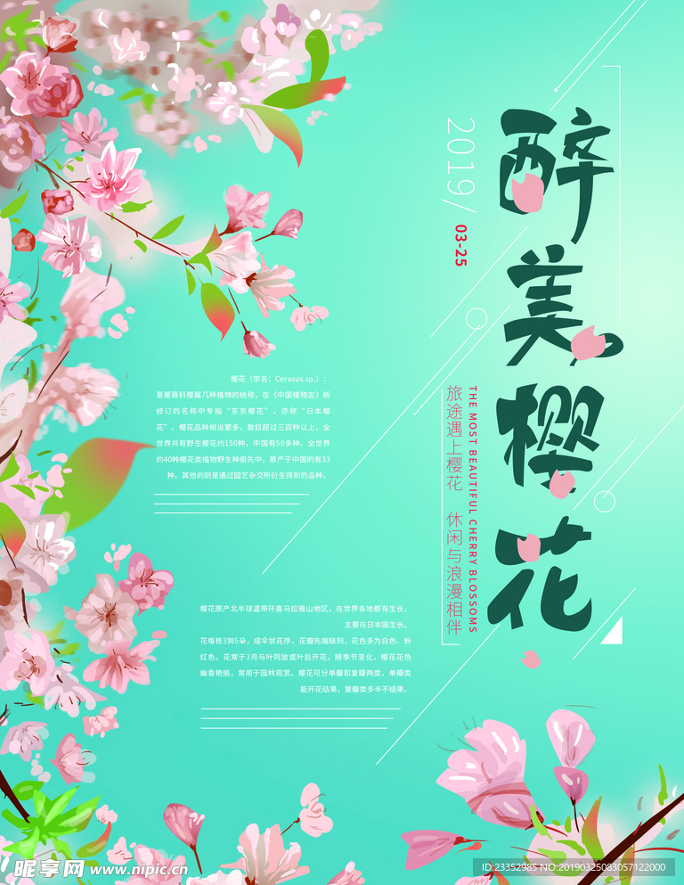 原创手绘赏樱花海报