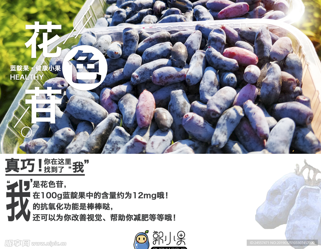 蓝靛果