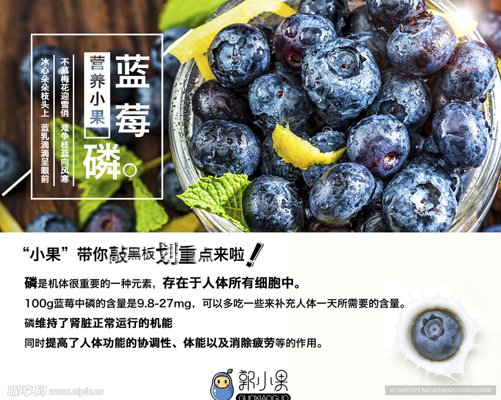 蓝莓海报