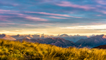 山