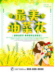 油菜花
