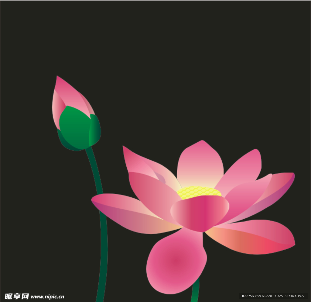 莲花矢量图
