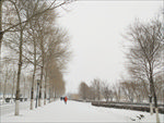 雪