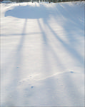 雪