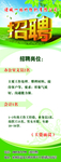 高档 绿色招聘  展架 人才