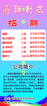 高档 蓝色招聘  展架 人才