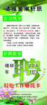 绿色招聘易拉宝展架