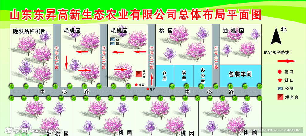 桃树平面图