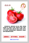 餐厅文化挂图