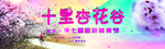 杏花 杏 杏花谷 采摘节