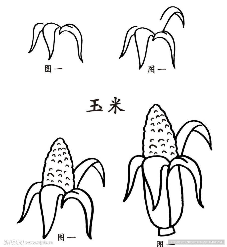 简笔画玉米  玉米  简笔画