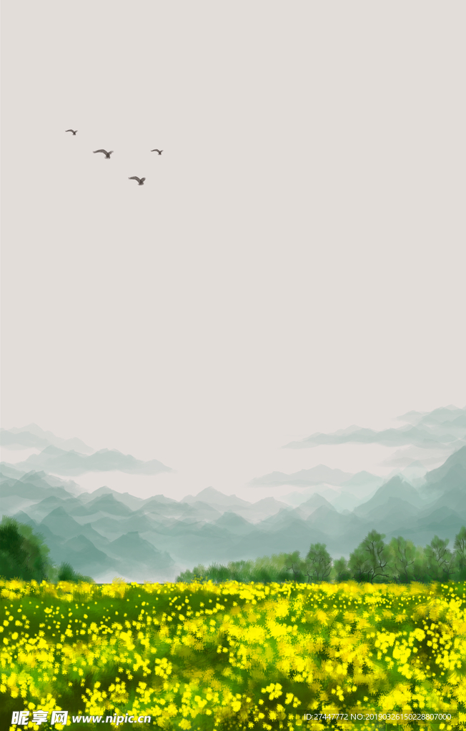 油菜花背景