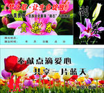 贵宾券