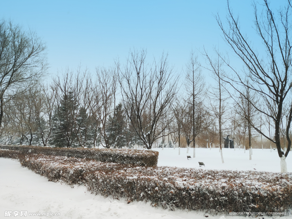 雪
