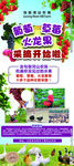葡萄采摘展架
