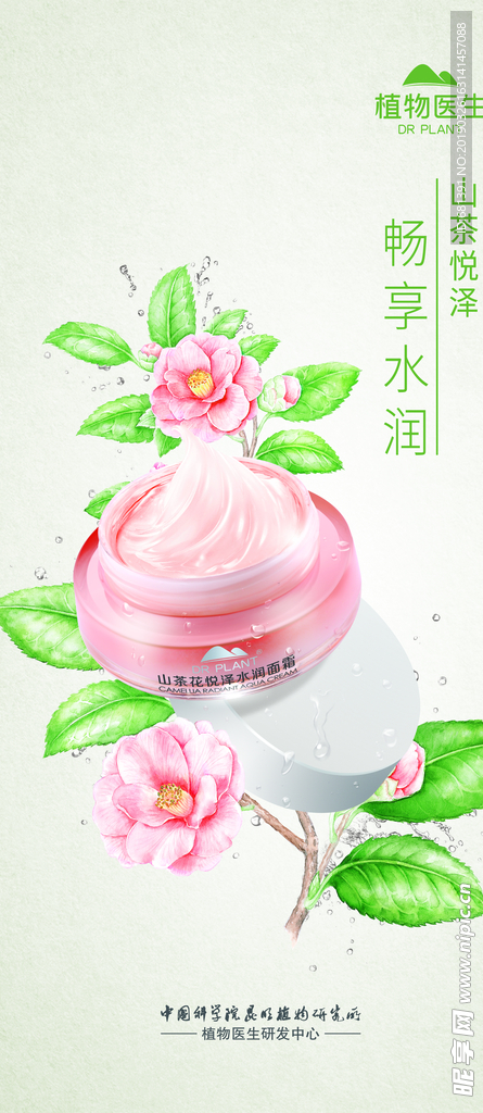植物医生 山茶花