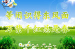 蓝天白云绿草地