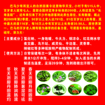 巴马汤