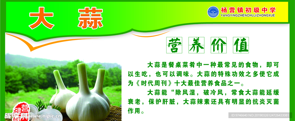 大蒜营养价值