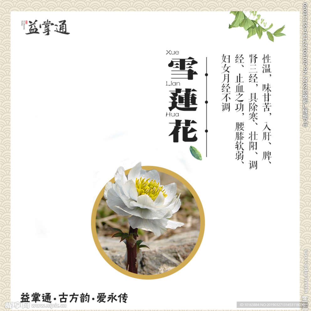 雪莲花