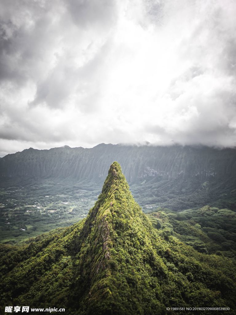雨林