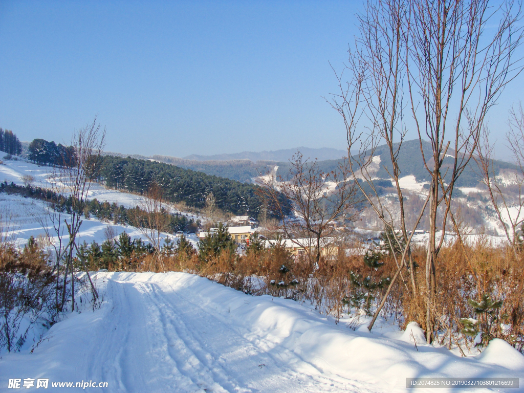 松岭雪村