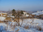 松岭雪村