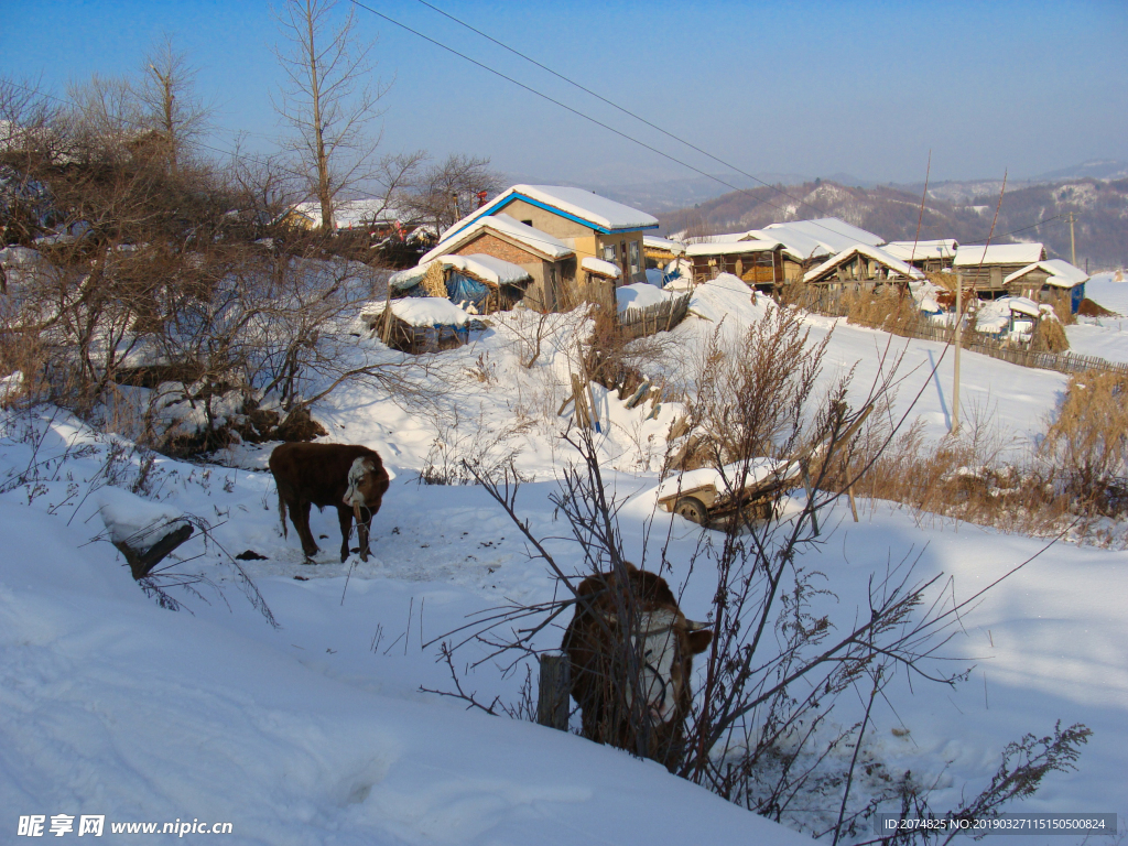 松岭雪村