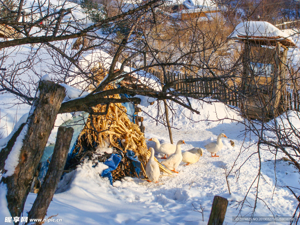 松岭雪村