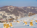 松岭雪村