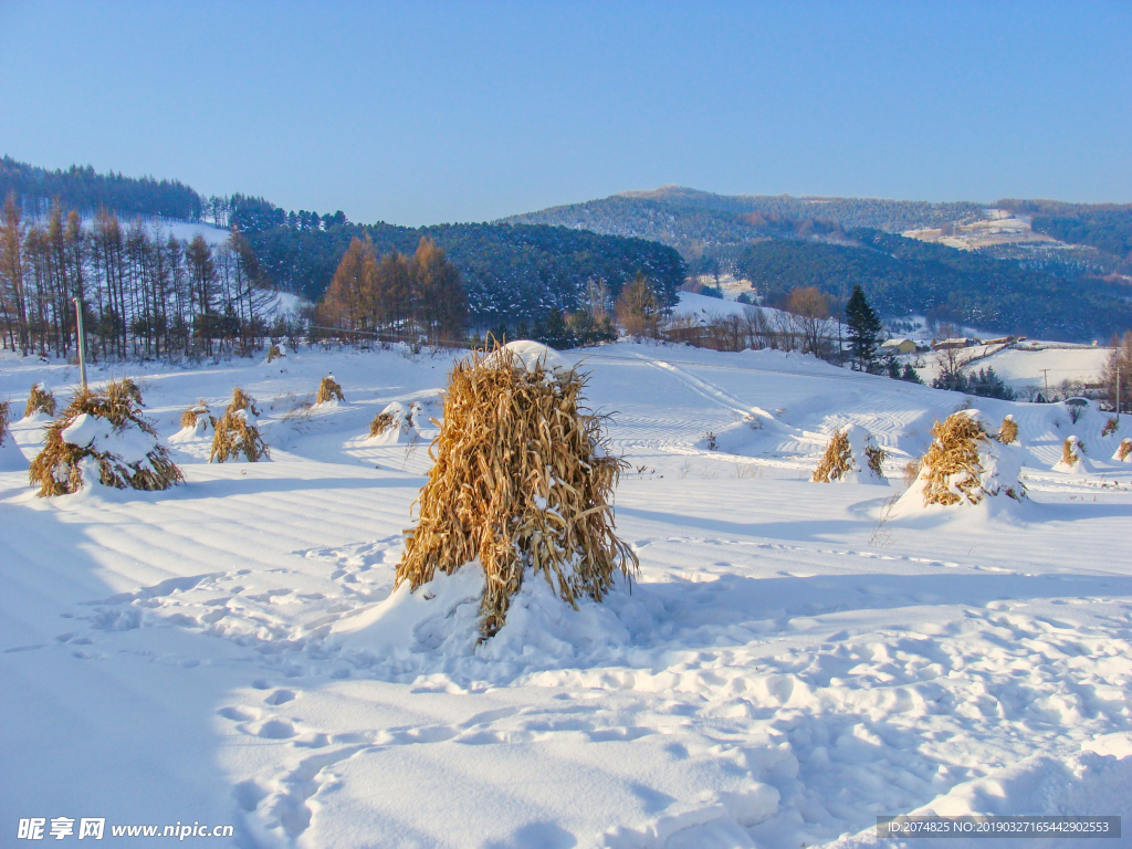 松岭雪村
