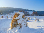 松岭雪村