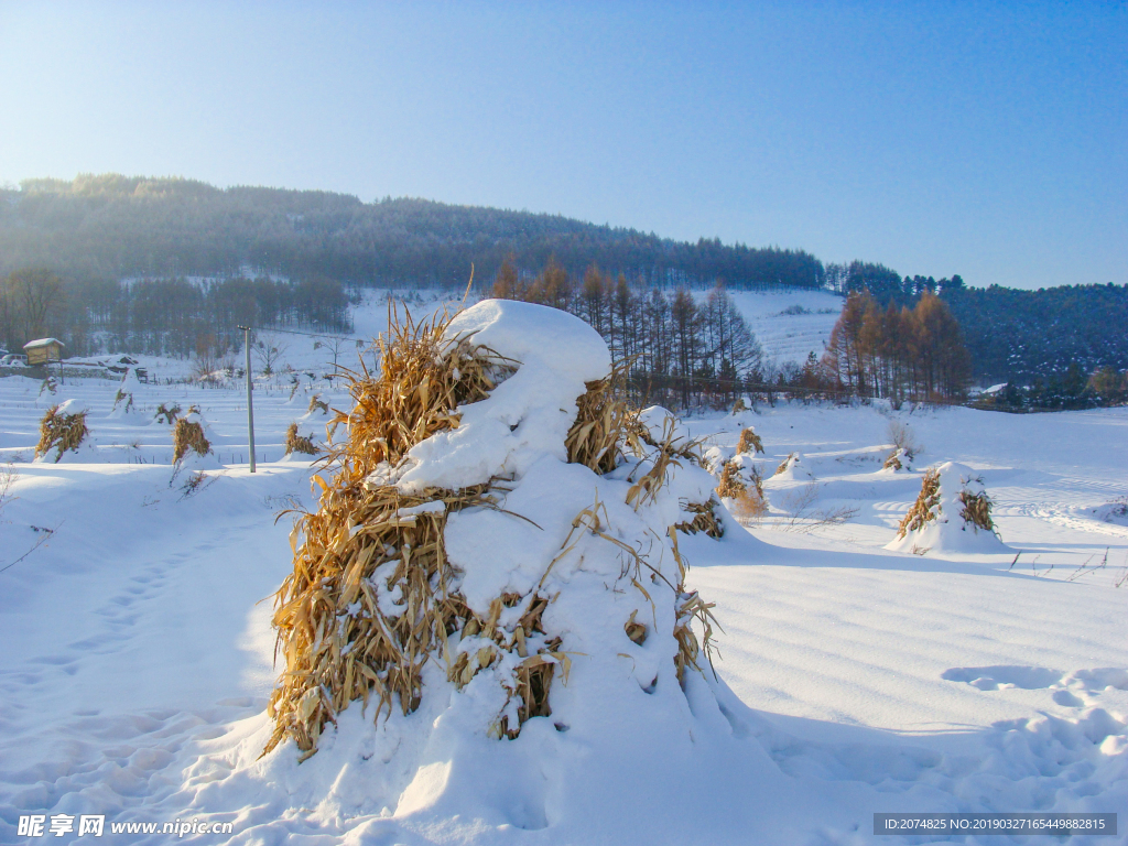 松岭雪村