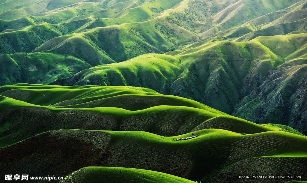 丘陵