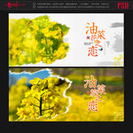 油菜花