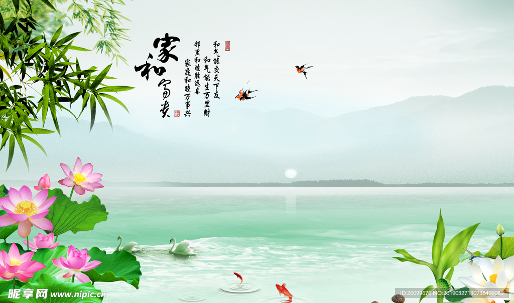荷花