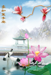 荷花